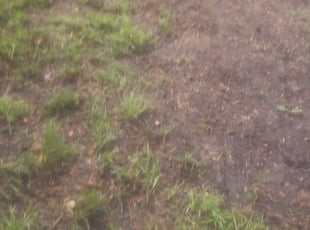Cleanups by Riki Howry for Nellie M. in Portland, OR
