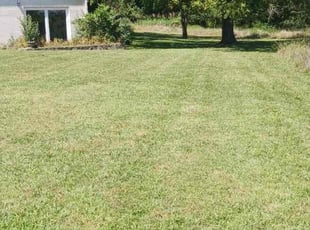 Alex G.'s Lawn Mowing Service service result