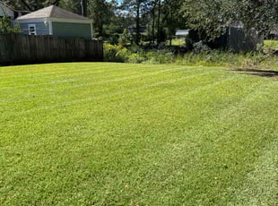 Simone B.'s Lawn Mowing service result
