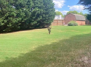 Tonya S.'s Lawn Maintenance service result