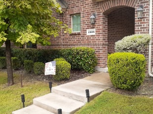 Bush Trimming by Courtney Holmes for Vicki F. in Allen, TX