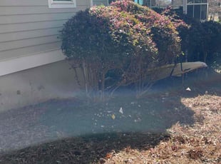Bush Trimming by Joe Caughman for Cliff K. in Chapin, SC