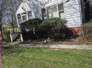 Bush Trimming by Zachary Krenik for Melany P. in Upper Marlboro, MD