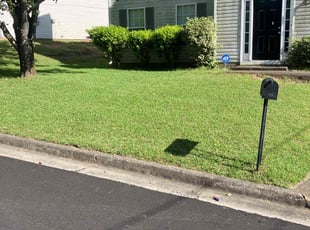 Adam C.'s Lawn Mowing Service service result