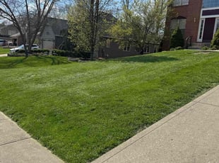 Ben K.'s Lawn Service service result