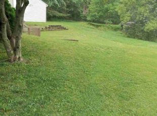 Lana C.'s Lawn Mowing Service service result