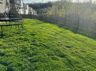 Alesha W.'s Yard Cutting service result