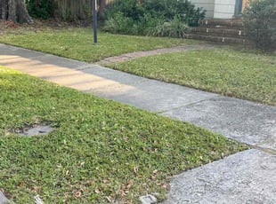 Jessica W.'s Grass Cutting service result
