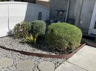 Bush Trimming by William Mendoza for Christine C. in Los Angeles, CA