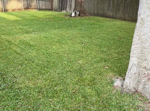 John S.'s Lawn Care service result