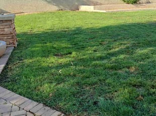 Carnitha M.'s Grass Cutting service result