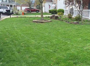 Joel V.'s Lawn Care service result