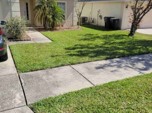 Timothy F.'s Lawn Mowing Service service result
