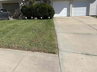 Marcia J.'s Lawn Care service result