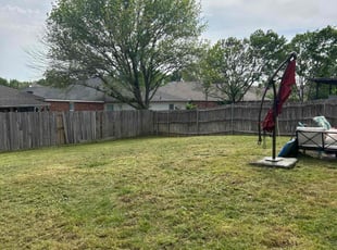 Leaf Removal by Hunter Longcrier for Ryan r. in Denton, TX