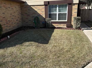 Bush Trimming by Carlos Arteaga for Juan P. in San Antonio, TX