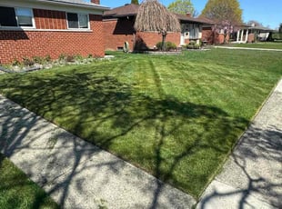 Stephen s.'s Lawn Mowing service result