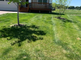 Rose S.'s Lawn Care service result