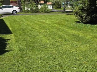 Rebecca O.'s Yard Cutting service result