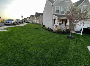 Betty C.'s Lawn Service service result