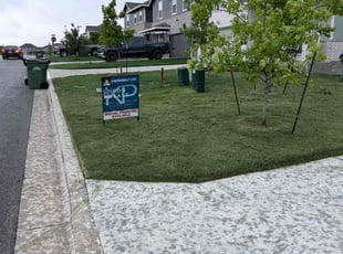 Kelly E.'s Lawn Maintenance service result