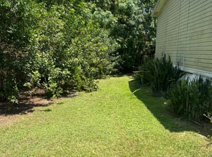 Brian W.'s Lawn Care service result