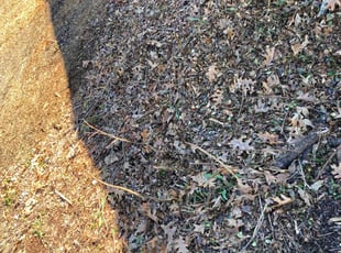 Cleanups by Blake Butler for Mona W. in Baton Rouge, LA