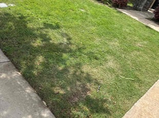 Weeding by Patrick Stewart for Olayemi S. in Prosper, TX