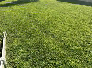 Robert O.'s Lawn Mowing service result