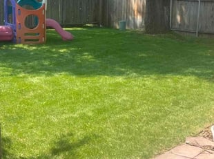 Elizabeth G.'s Yard Cutting service result