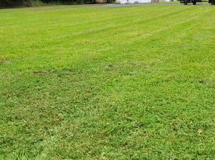 Steve V.'s Lawn Service service result
