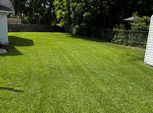 RamΓ³n M.'s Lawn Maintenance service result