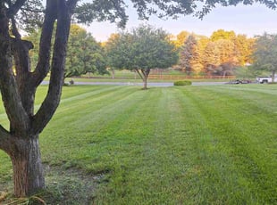 Robert W.'s Lawn Service service result