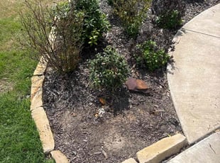 Weeding by Brennen Dikes for Frieda K. in Burleson, TX