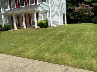 Demetris B.'s Lawn Service service result