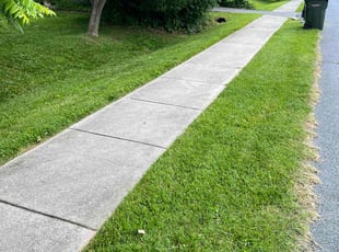 teresa w.'s Lawn Service service result