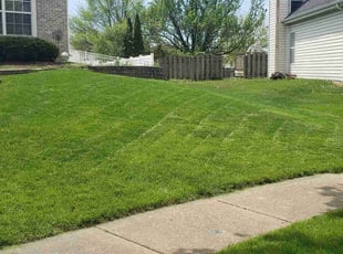 Melanie-Ann S.'s Grass Cutting service result