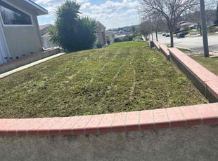 Bj M.'s Lawn Care service result