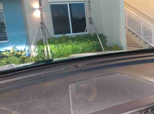 Bush Trimming by Nicholas Smith for Heather G. in Boca Raton, FL