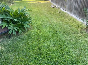 Nilza L.'s Lawn Care service result