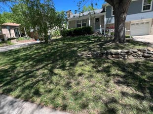 Mike F.'s Lawn Maintenance service result