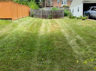 Felix F.'s Lawn Care service result