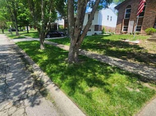 Bill T.'s Lawn Care service result