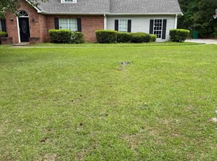 Bush Trimming by Toni Feaster for Damian H. in Lithonia, GA