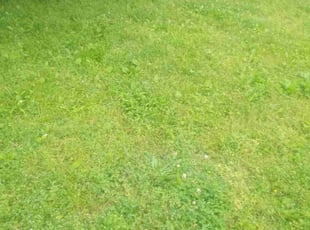 Cleanups by Karushoun Kelly for Sydney M. in Sherwood, AR
