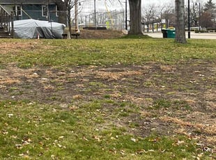 Leaf Removal by Santos Blanco for Bill C. in Minneapolis, MN