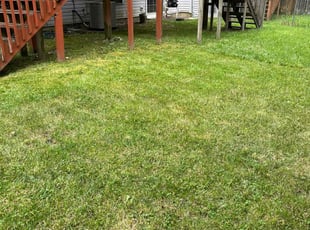 Kenny G.'s Yard Cutting service result