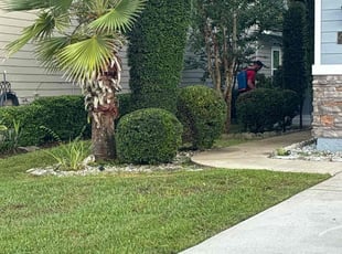 Teresita F.'s Bush Trimming service result