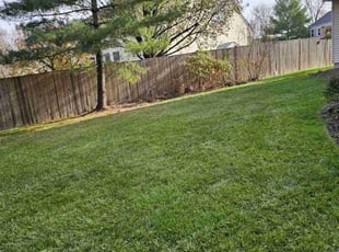 Terence E A.'s Lawn Care service result