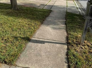Damon B.'s Lawn Mowing service result